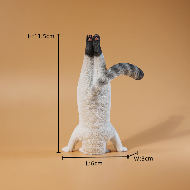 1/6 Scale Mini Simulated Fitne - Yoga In Fitness First recension och pris