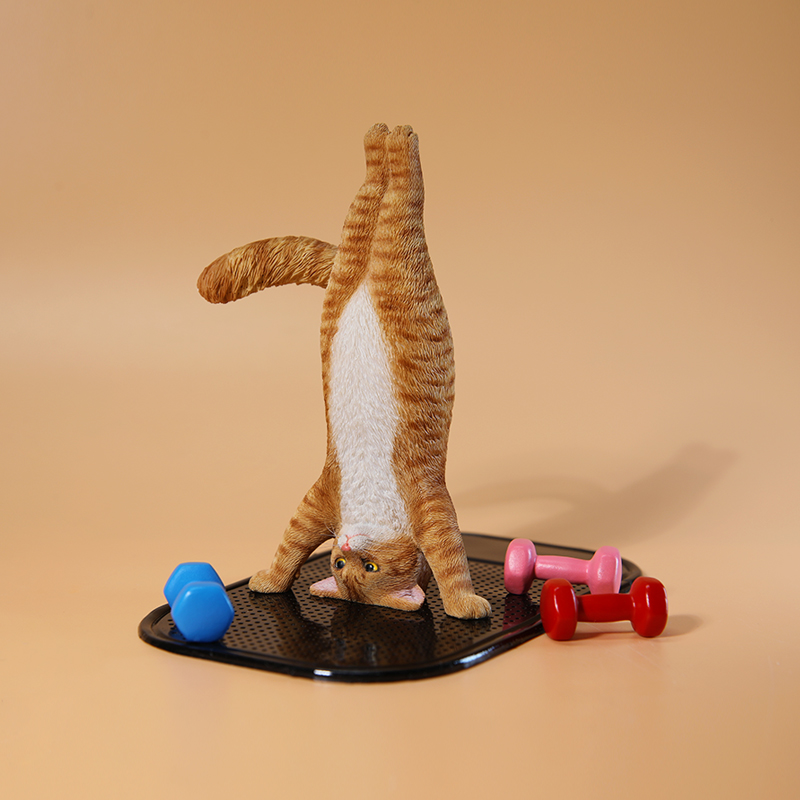 1/6 Scale Mini Simulated Fitne - Yoga In Fitness First recension och pris